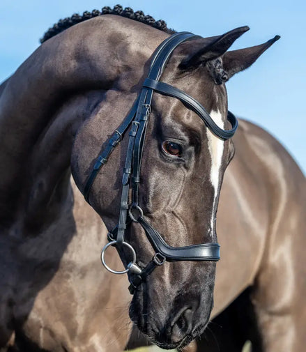 LeMieux Arika Drop Headstall