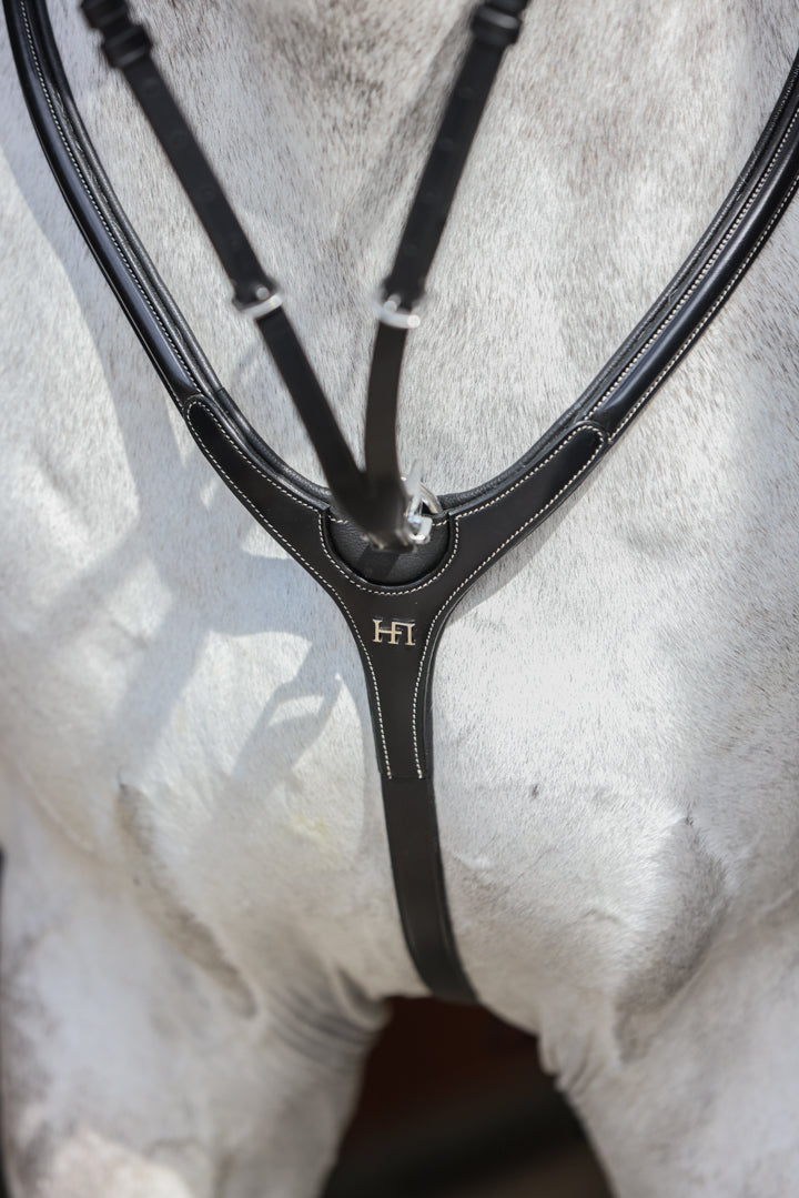 HFI Borsttuig Aosta