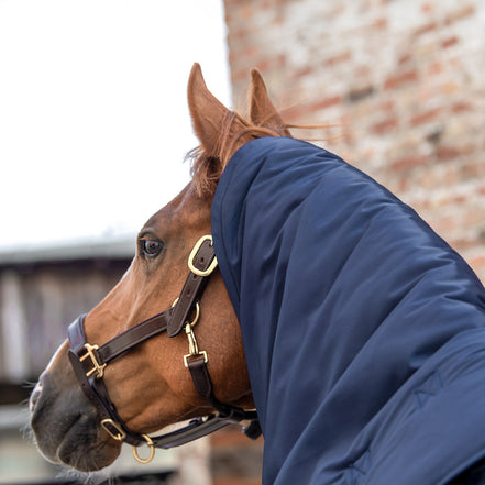 Couverture d'écurie Winderen pour chevaux Thermoactive Zoom 