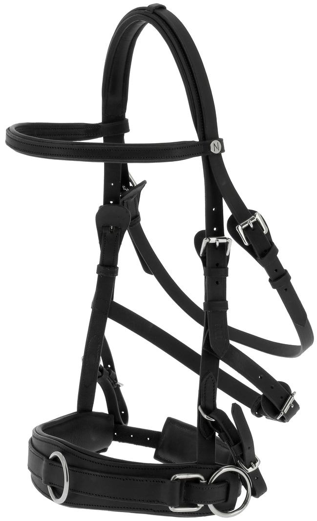 Norton Breed kaptoom