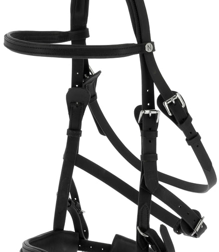 Norton Breed kaptoom