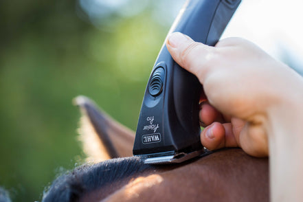 Wahl Adelar Pro Tondeuse paarden met verwisselbare Li-Ion accu's