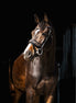 HB Showtime Anatomisch Hoofdstel Luipaard