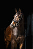 HB Showtime Anatomisch Hoofdstel Luipaard