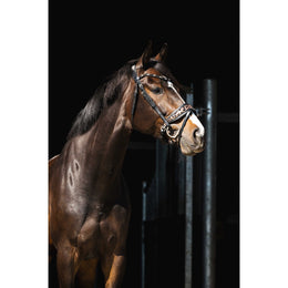 HB Showtime Anatomisch Hoofdstel Luipaard