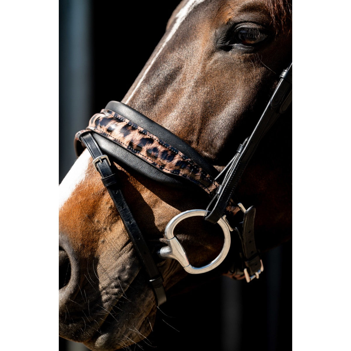 HB Showtime Anatomisch Hoofdstel Luipaard