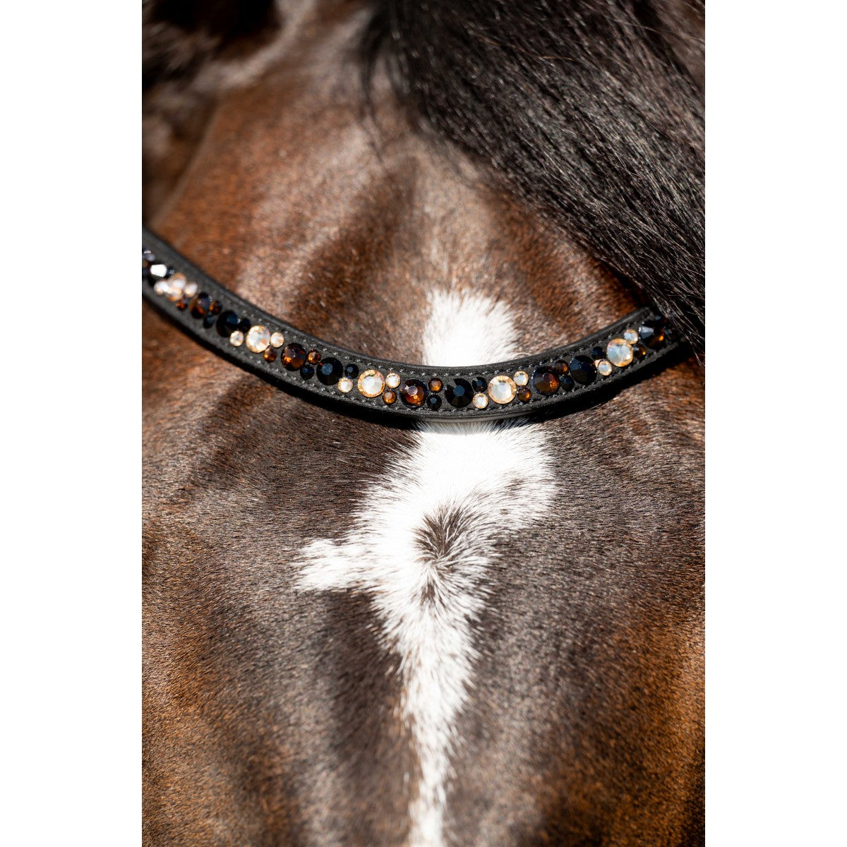 HB Showtime Anatomisch Hoofdstel Luipaard