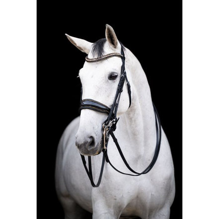 HB Showtime Tout ce dont vous aviez besoin - Snaffle