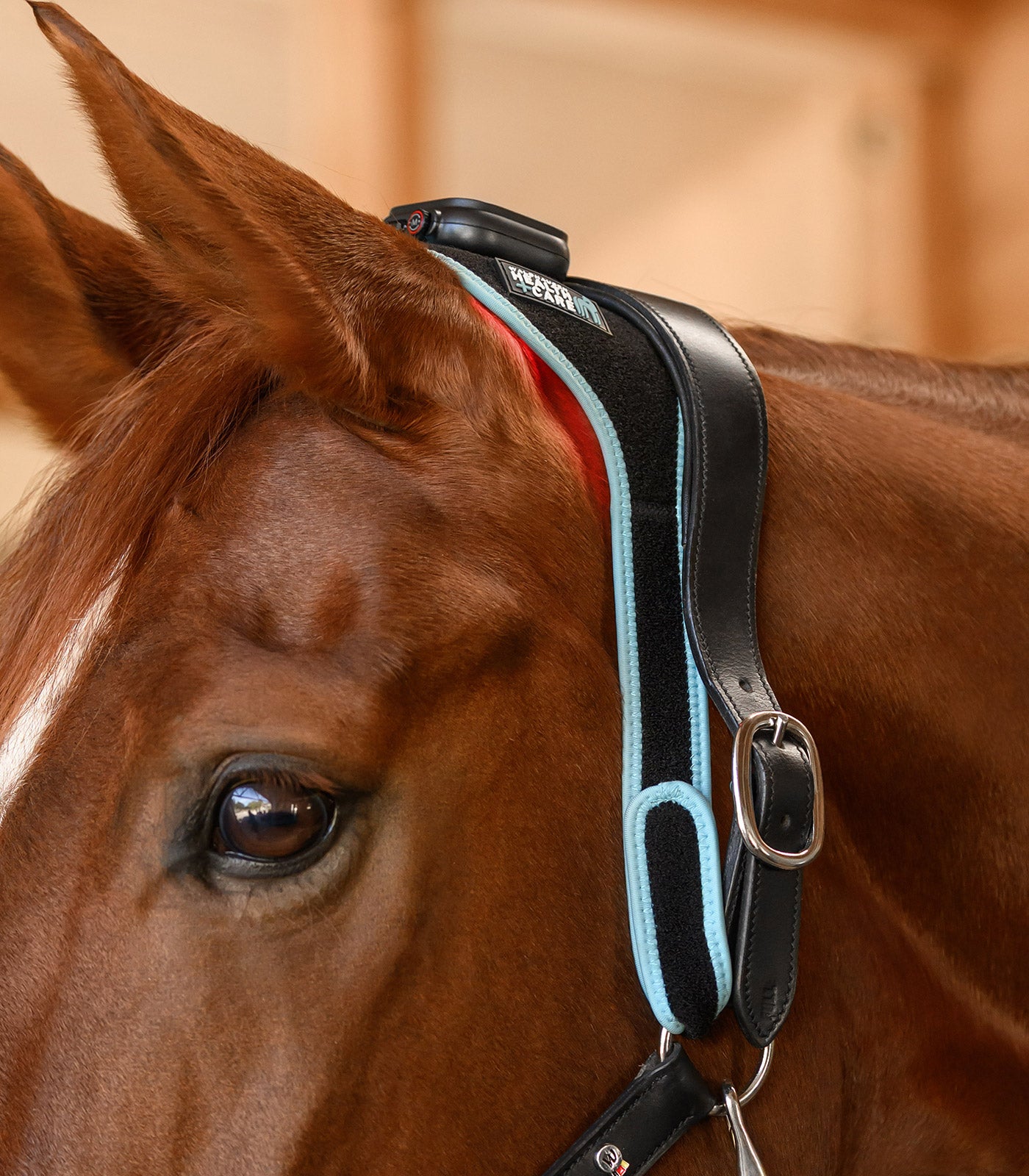 Waldhausen Health + Care Infrared FlexPad