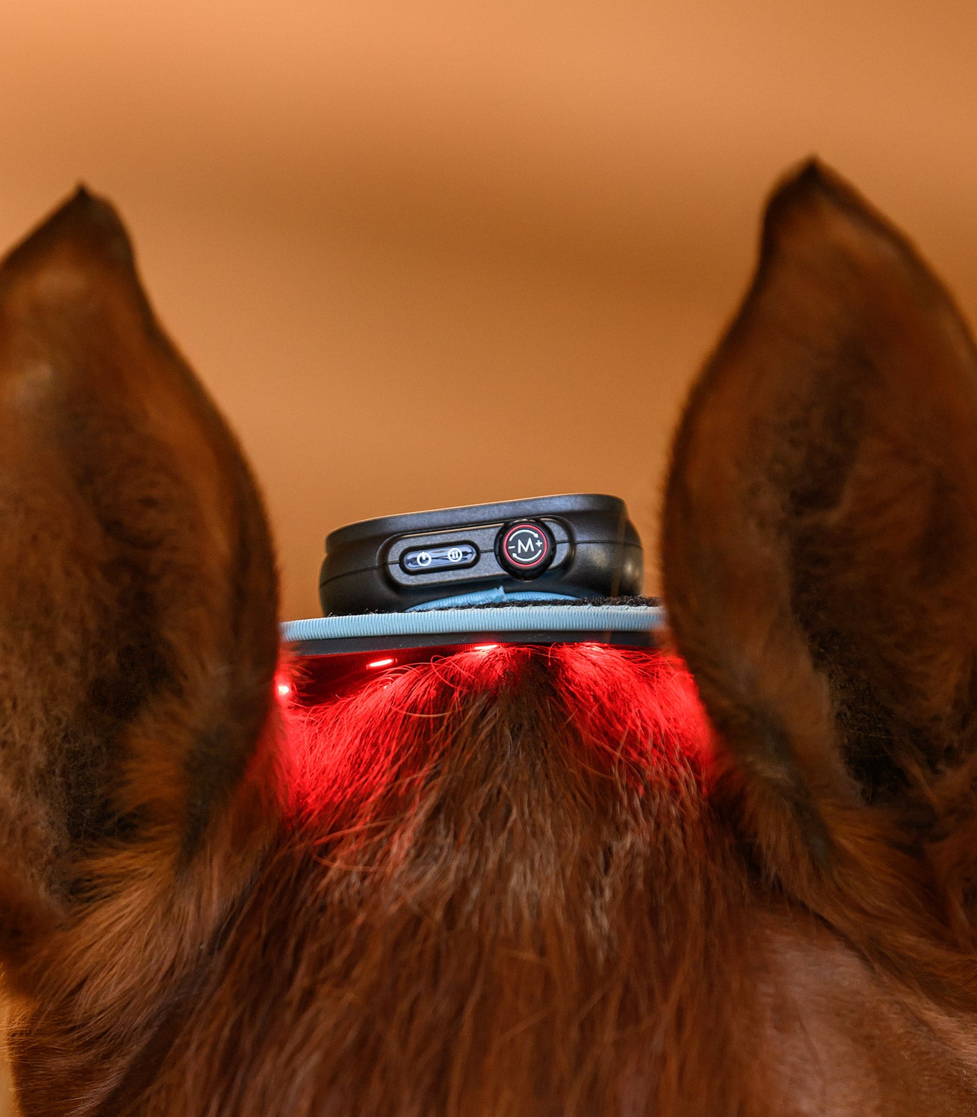 Waldhausen Health + Care Infrared FlexPad