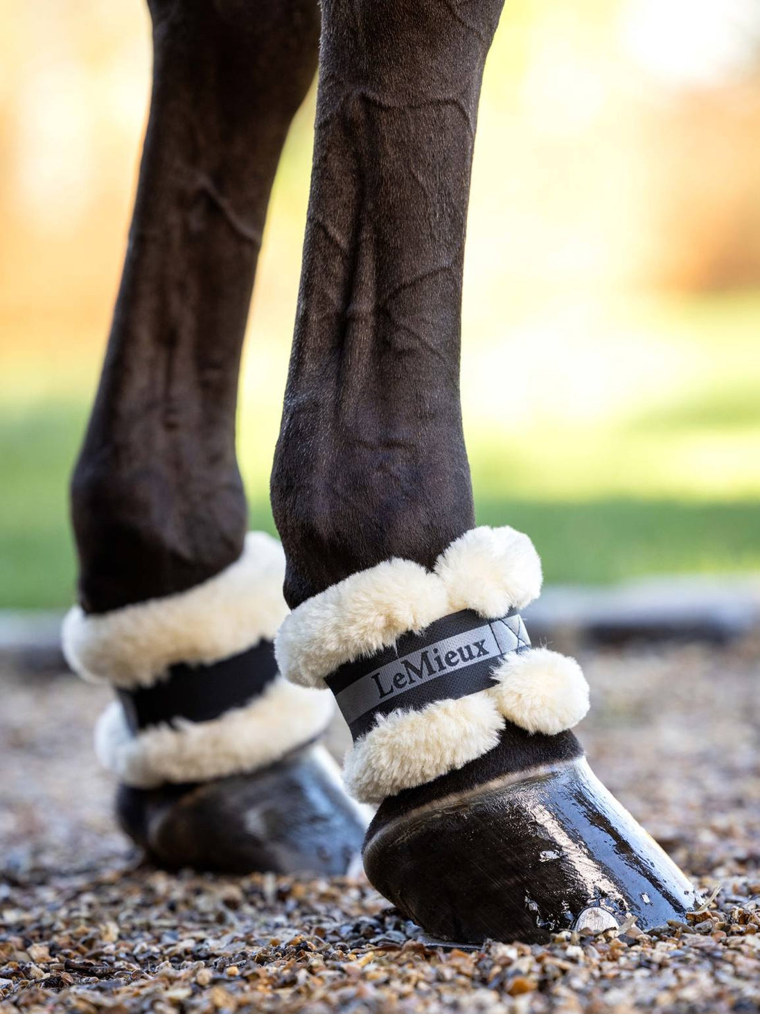 LeMieux Fleece Kootbeschermers Zwart (1paar)