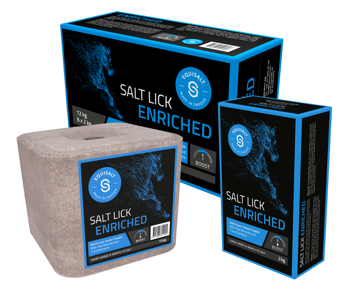 Equisalt Salt Lick Enriched 2kg