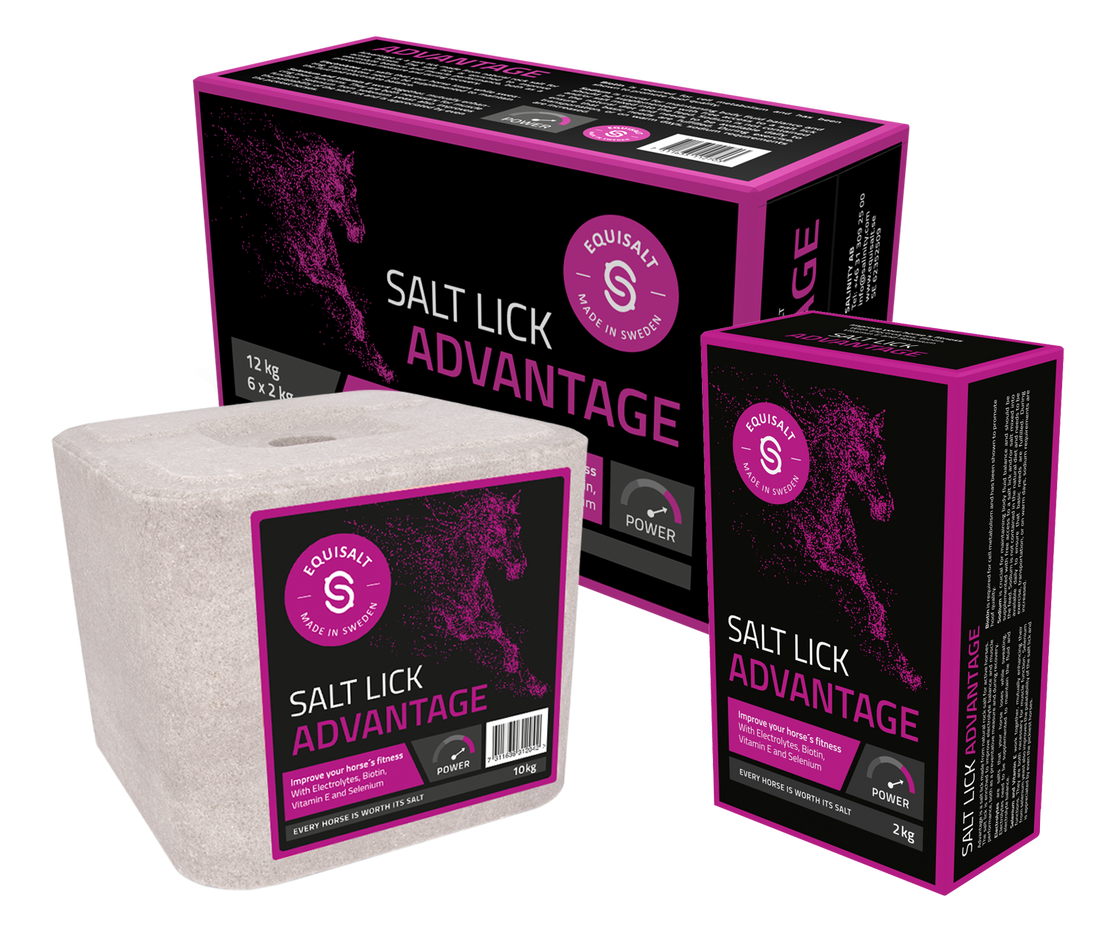 Equisalt Liksteen zout Advantage