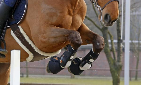 Kentucky Tendon Grip-Strumpf beige