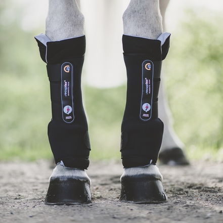 Kentucky MAGNETIC STABLE BOOTS RECUPTEX Zwart Full