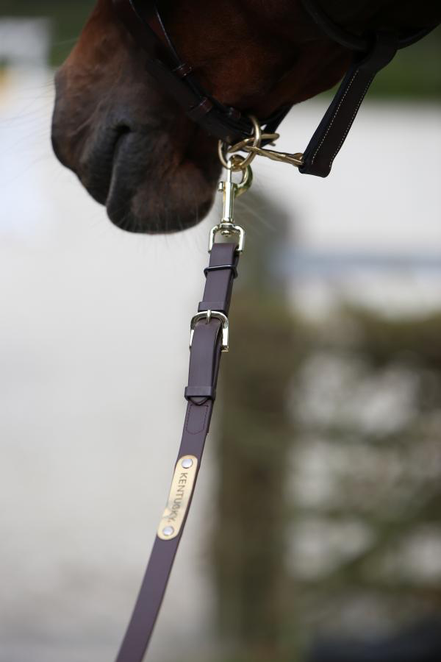 Kentucky Stallion Presentation Line Black 4m