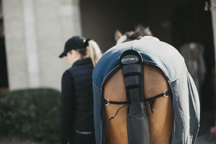 Kentucky Tail Guard &amp; Tail Bag Black