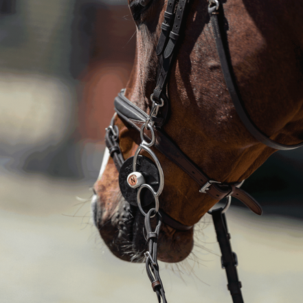 Nathe 3-Ring bit with flexible Mullen Mouth 