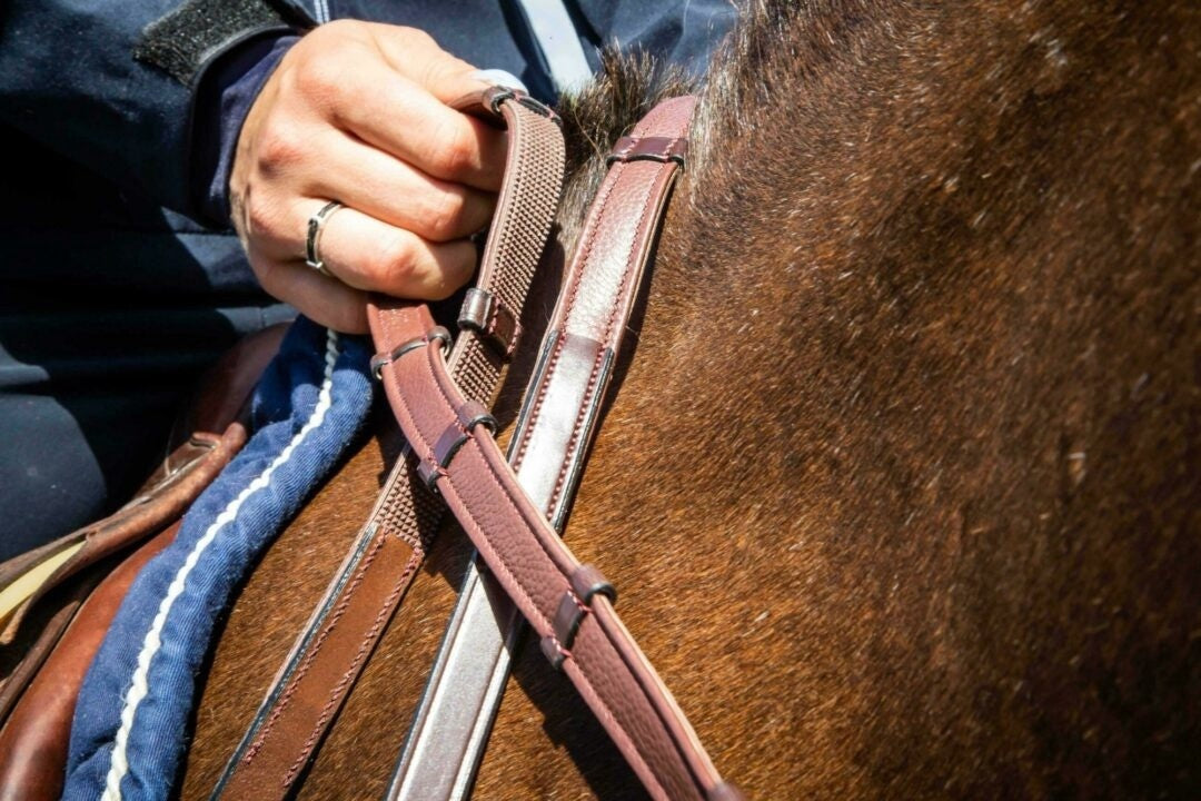 Dy'on 5/8 Hunter reins 7 loops (No stopper) New Eng.