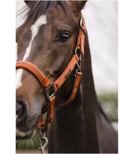 Anky Halster en Touw Stones ATH23001