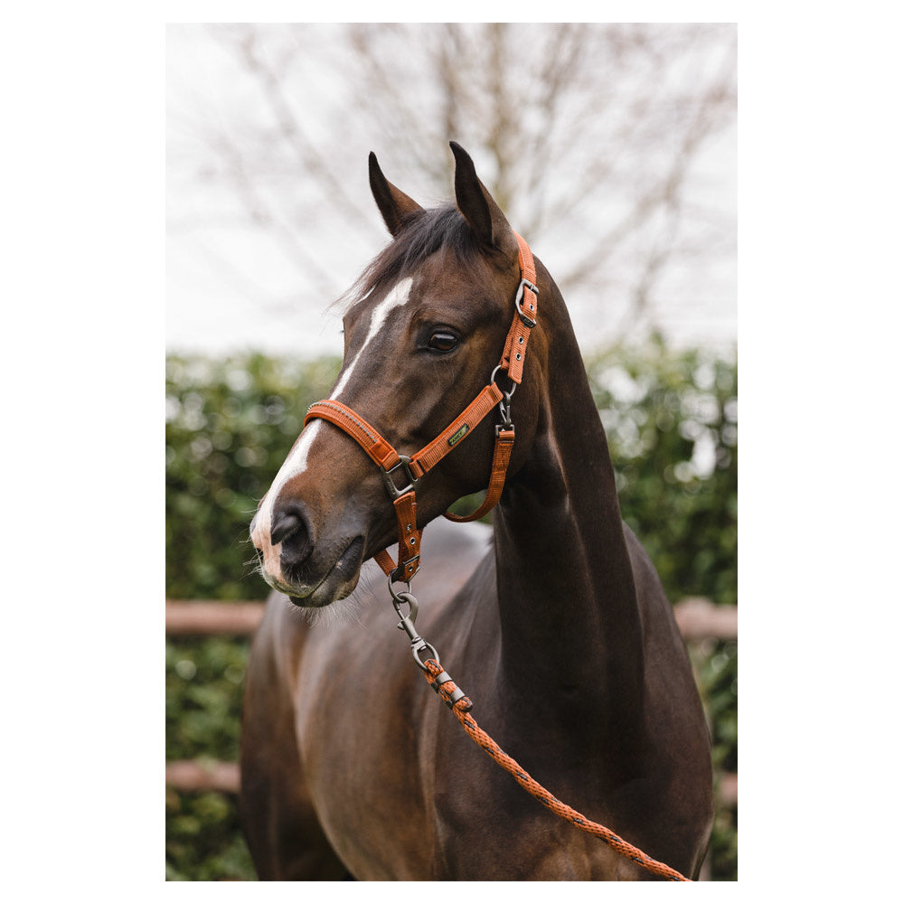 Anky Halster en Touw Stones ATH23001