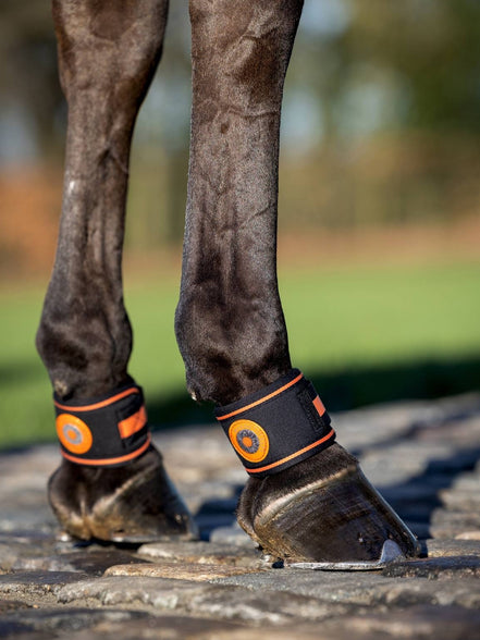 LeMieux Magno Pastern Wrap Kootholtebeschermer Black