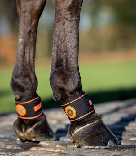 LeMieux Magno Pastern Wrap Kootholtebeschermer Black