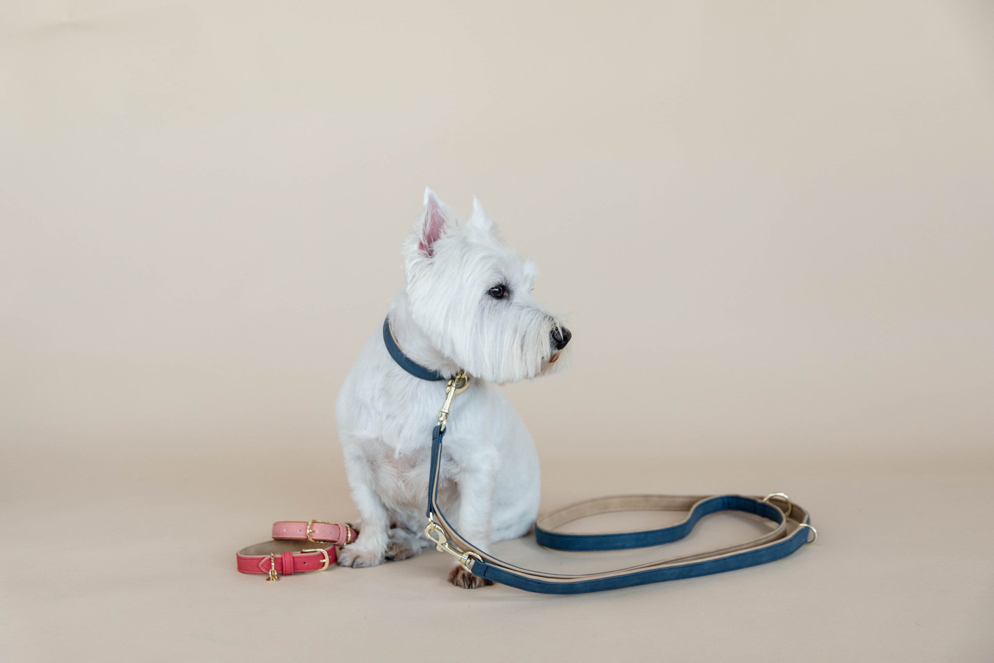 Kentucky Hondenhalsband Zacht Vegan Leder