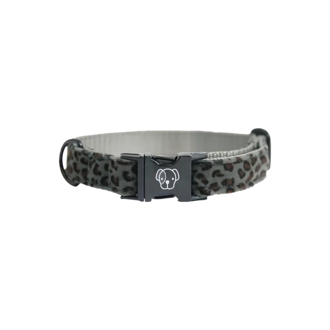 Kentucky Dog Collar Leopard