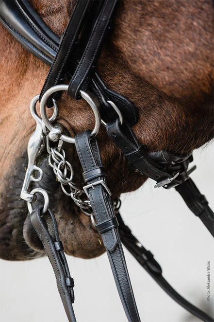 Schockemöhle Milton Rod &amp; Snaffle