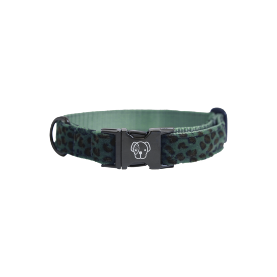 Kentucky Dog Collar Leopard