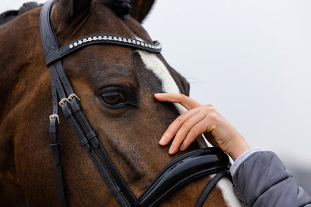 Trust Rotterdam Large Patent Crank Noseband Headstall