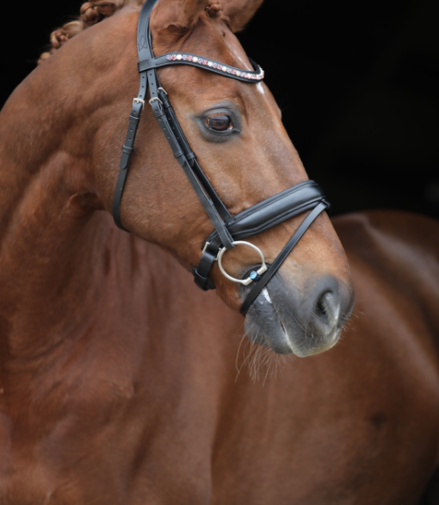 LJ Leathers Hoofdstel Brownie Aansnoerneusriem