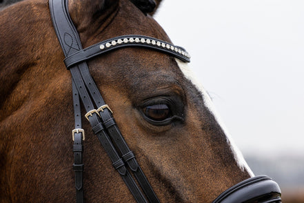 Trust Rotterdam Large Patent Crank Noseband Headstall