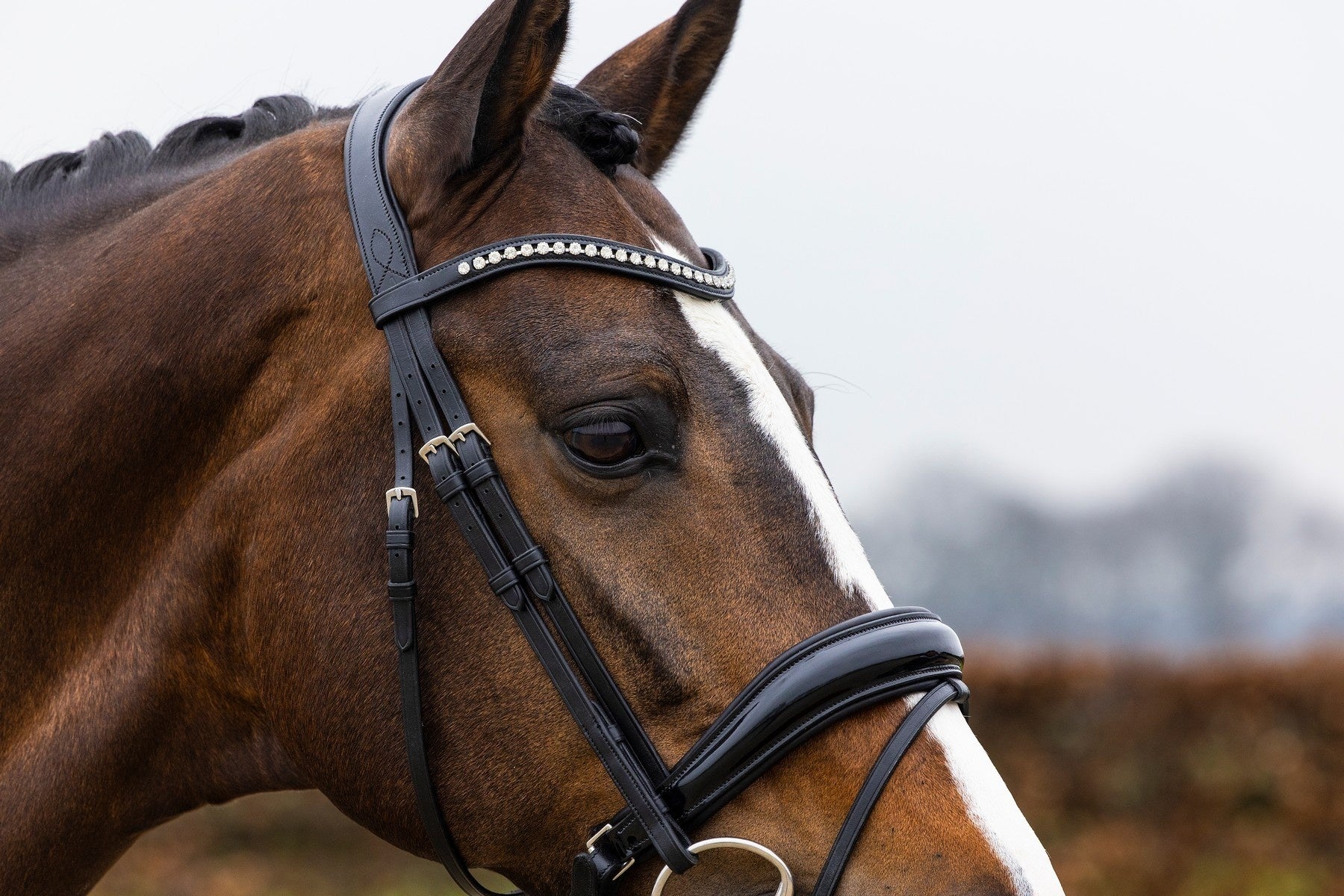 Trust Rotterdam Large Patent Crank Noseband Headstall
