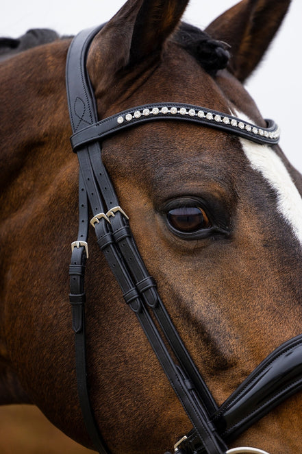 Trust Rotterdam Large Patent Crank Noseband Headstall