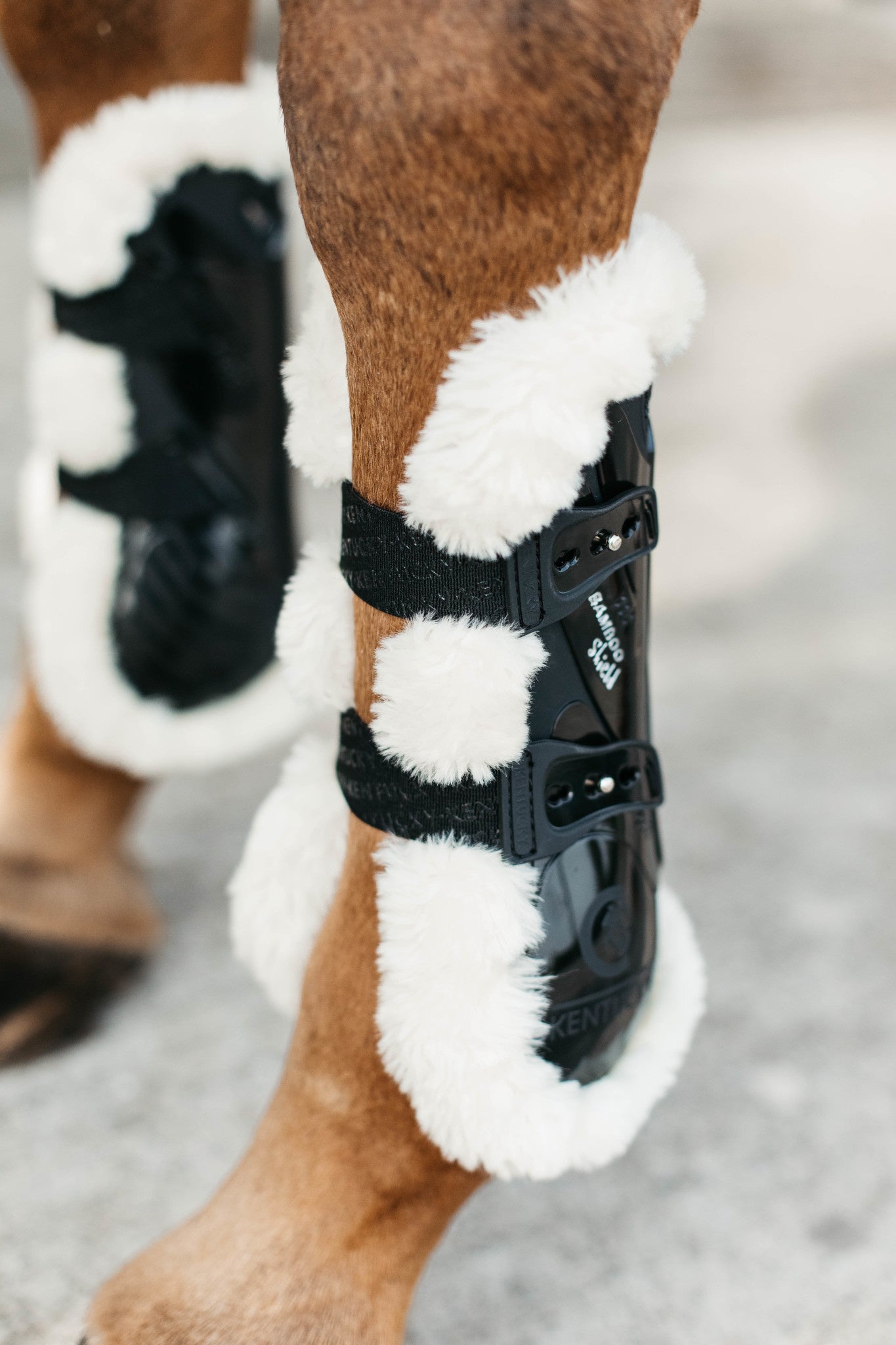 Kentucky Vegan Wool Tendon Boots Bamboo Elastic