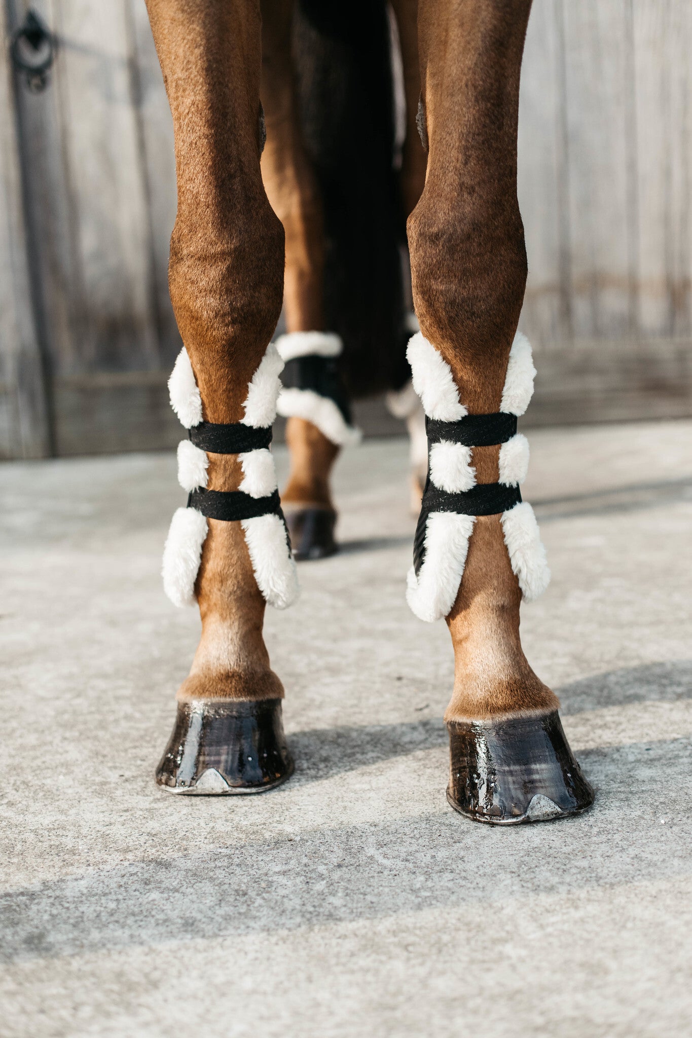 Kentucky Vegan Wool Tendon Boots Bamboo Elastic