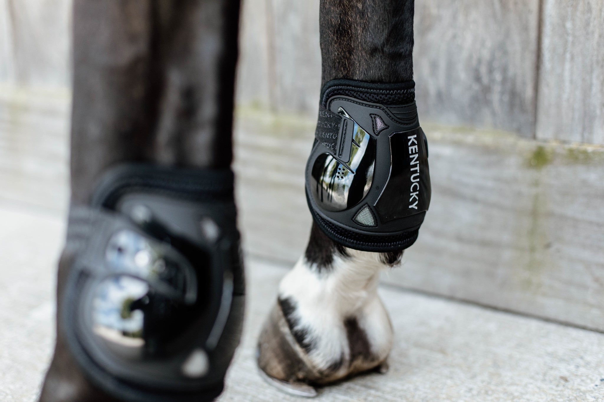 Kentucky Moonboots Air