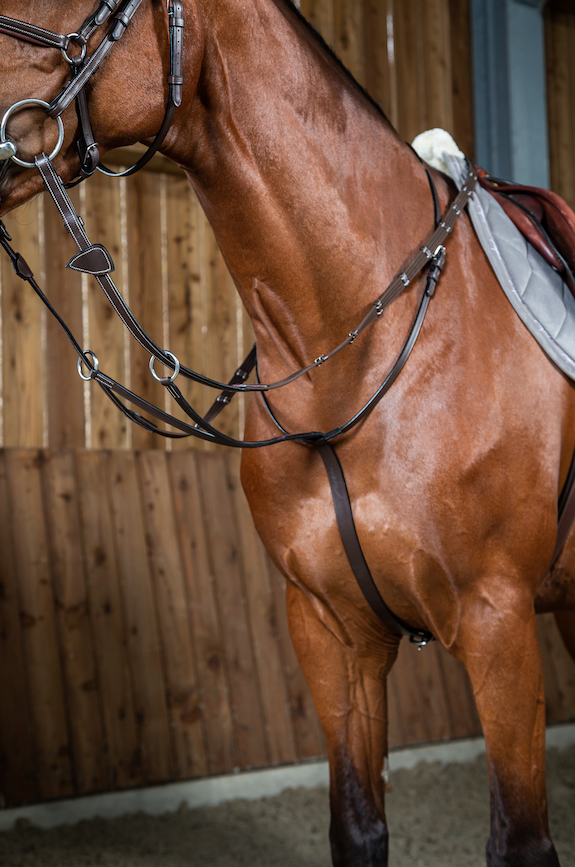 Dy'on Running Martingale - Working Collection