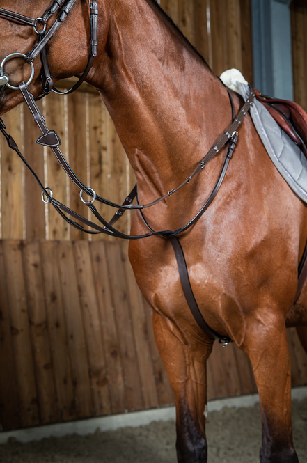 Dy'on Running Martingale - Working Collection