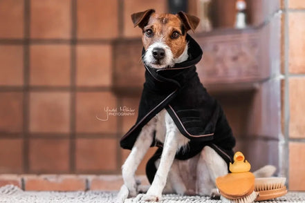 Kentucky Dog Coat Towel