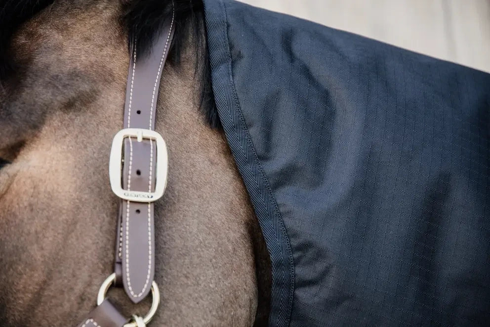 Kentucky Neck All Weather Pro