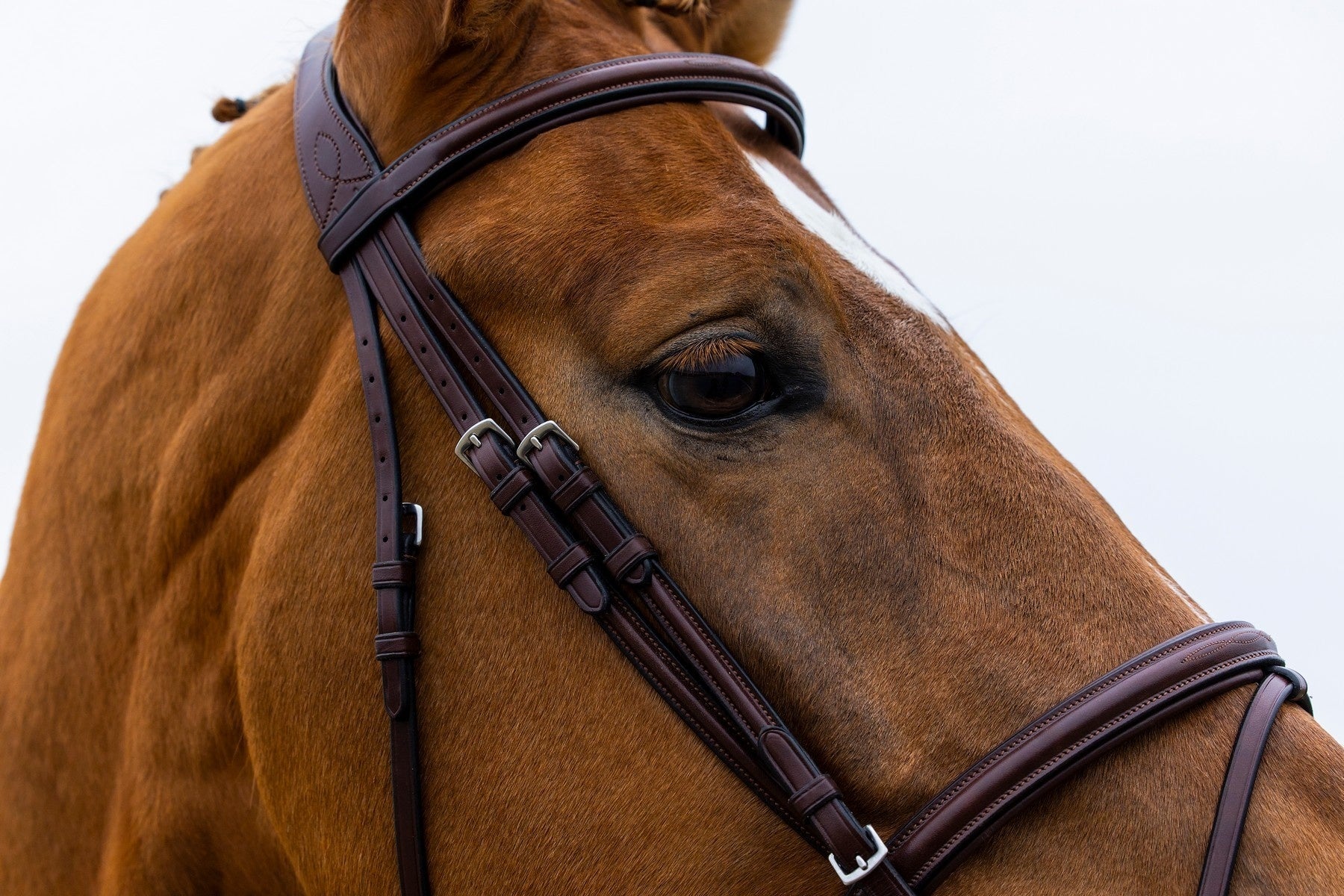 Trust Knokke Combined Noseband Hoofdstel Classic