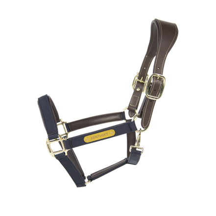 Kentucky Nylon Anatomic Dumbbell 