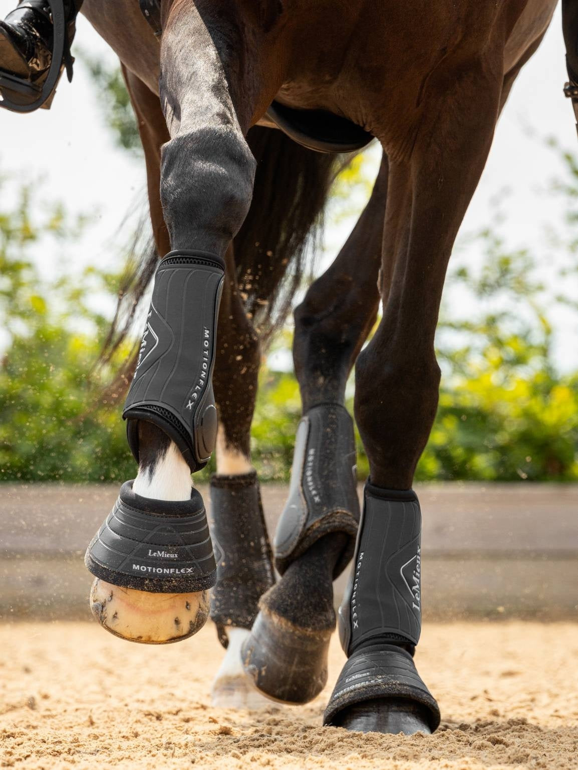 LeMieux Motionflex Dressage Tendon Boots