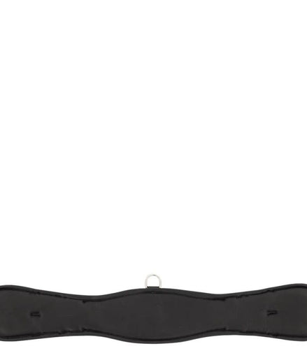 Premiere Dressuursingel Perpignan