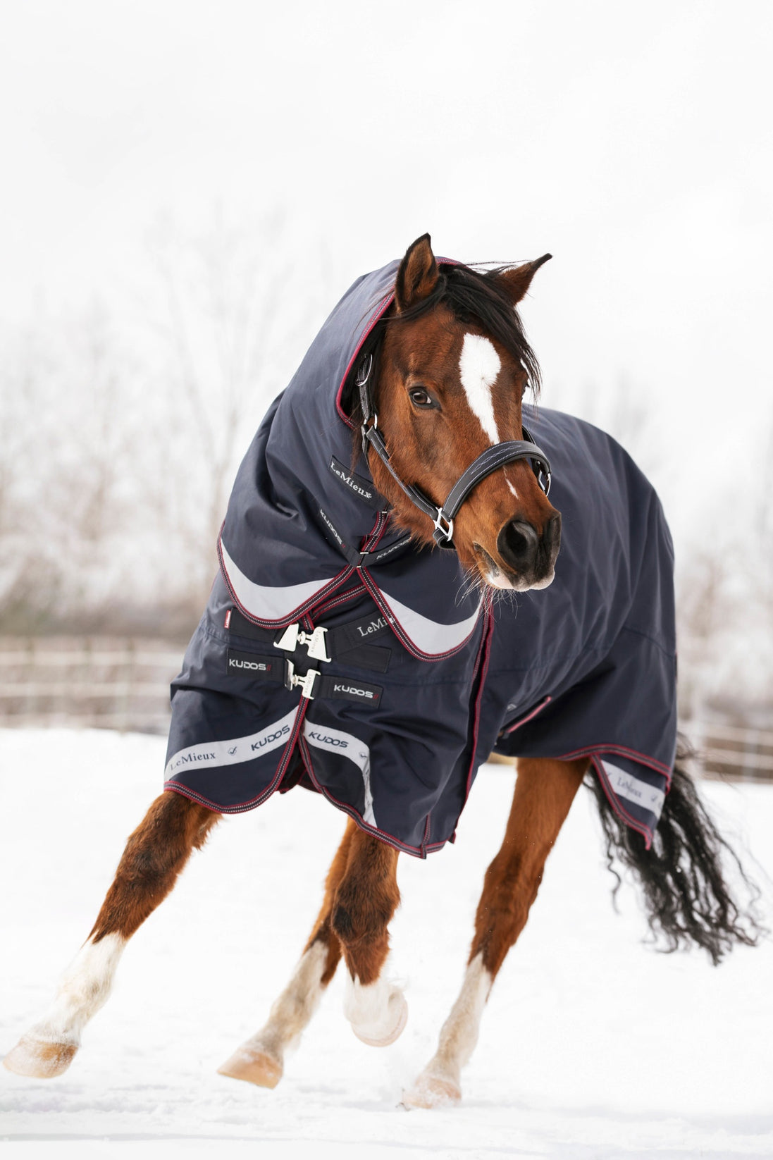 LeMieux Kudos Turnout Paardendeken