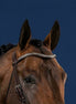 Dy'on Silver Clincher V-Shaped Browband Hunter