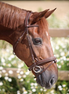 LJ Leathers Hoofdstel New Fancy gecomb. neusriem